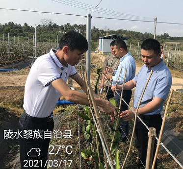 農資不營銷 專注做服務